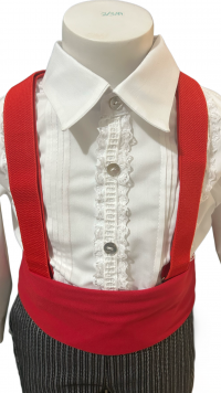 CAMISA FLAMENCO MANGA LARGA